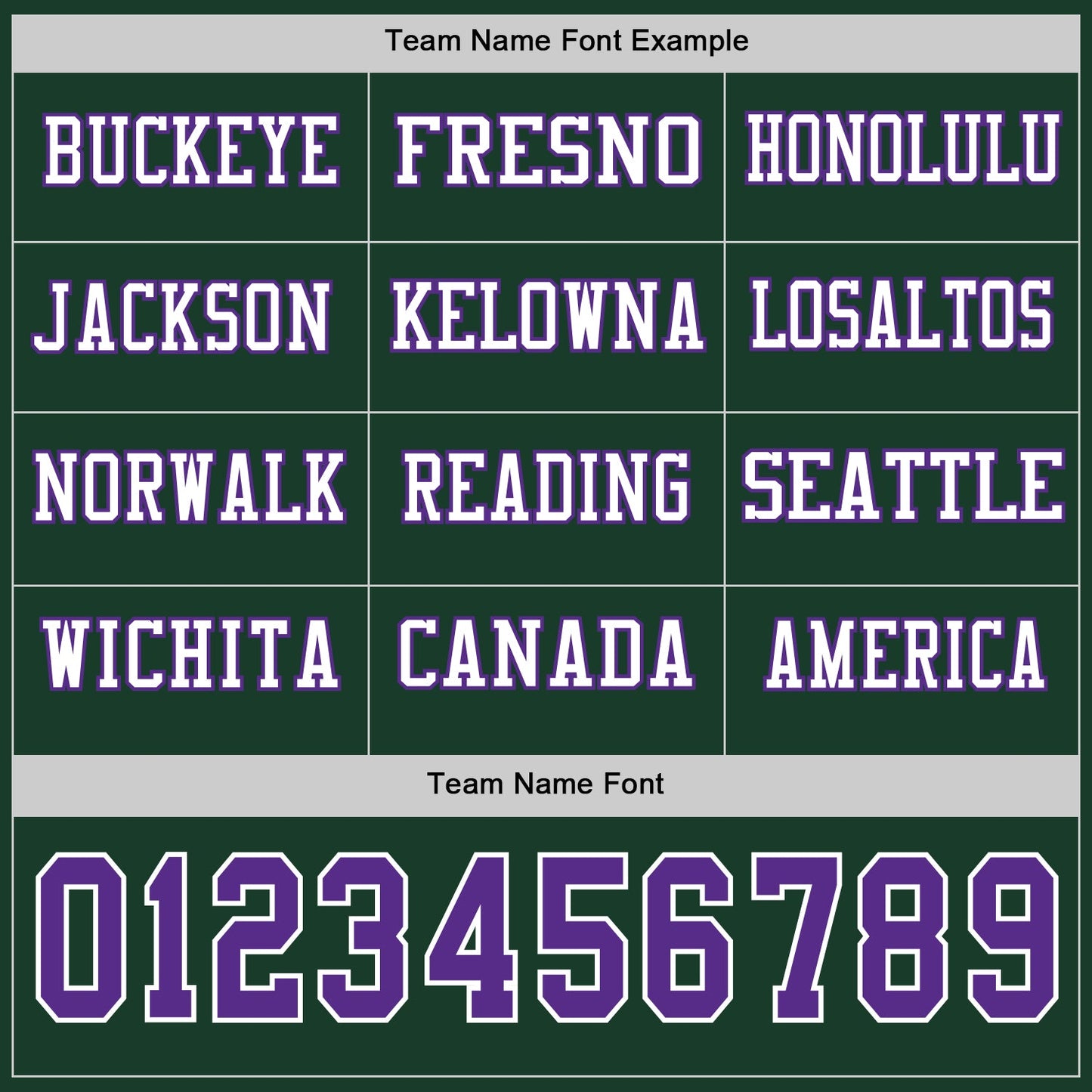 Custom Green Purple-White Long Sleeve Authentic Football Jersey Limited