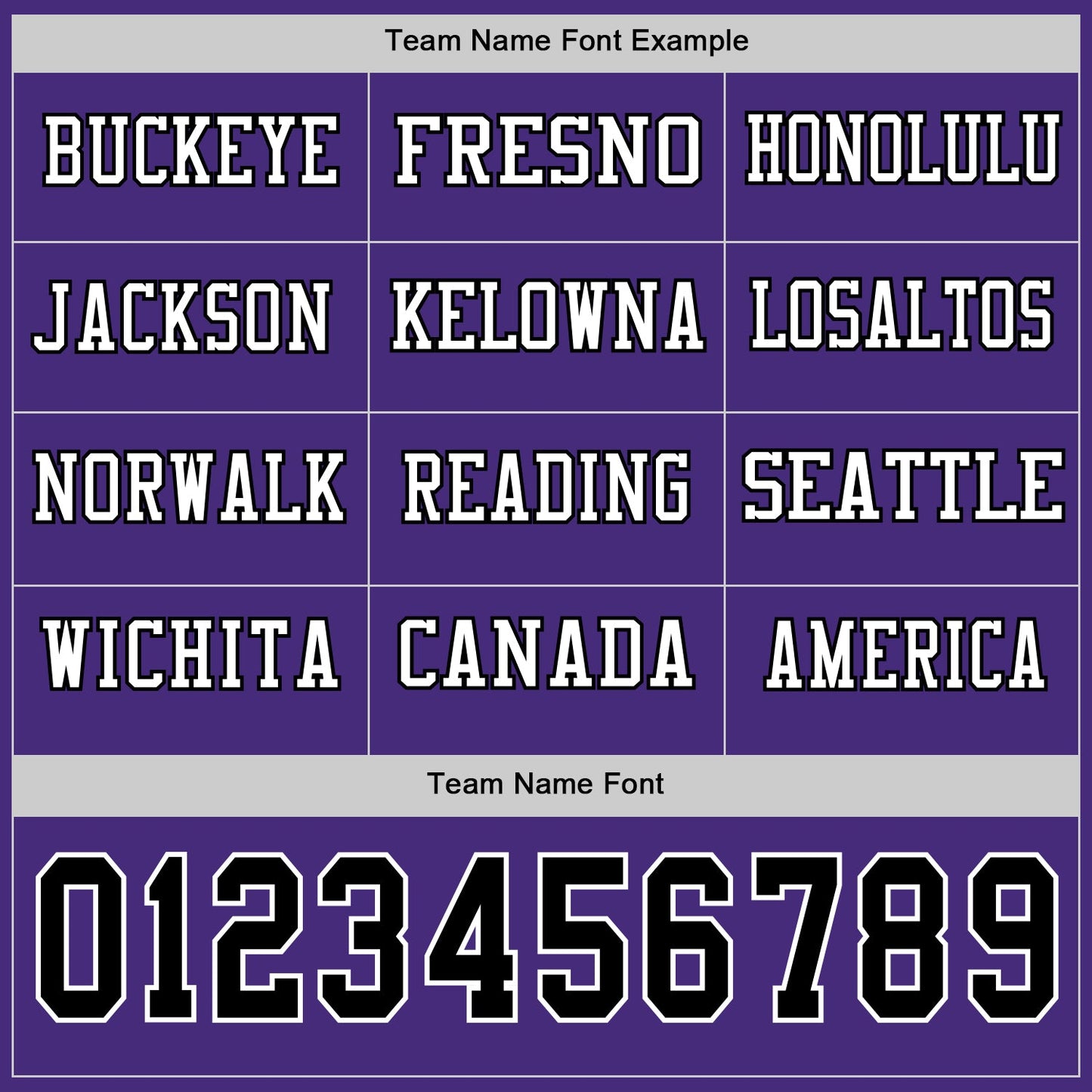 Custom Purple Black-White Long Sleeve Authentic Football Jersey Limited