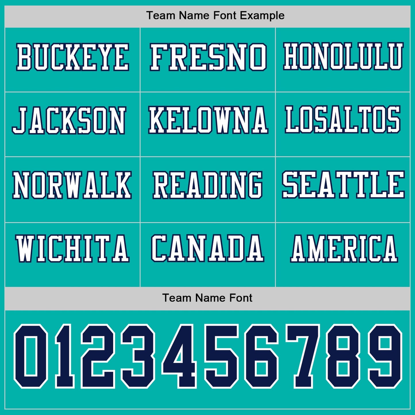 Custom Aqua Navy-White Long Sleeve Authentic Football Jersey Limited