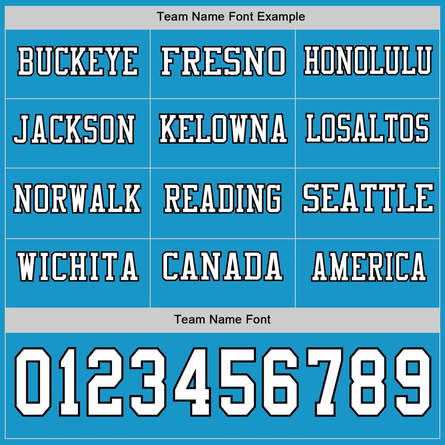 Custom Panther Blue White-Black Long Sleeve Authentic Football Jersey Limited