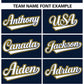 Custom Navy Gold Thick Stripe Fashion Design Authentic Baseball Jersey Limited
