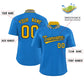 Custom Panther Blue Classic Style Authentic Stand Collar Baseball Jersey Limited