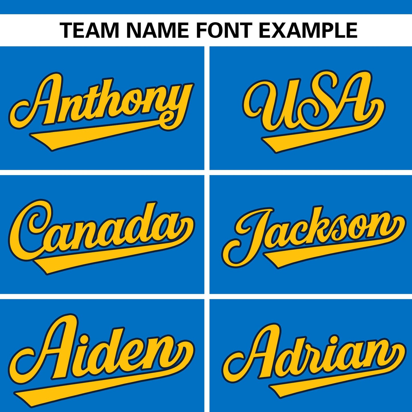 Custom Panther Blue Classic Style Authentic Stand Collar Baseball Jersey Limited