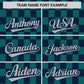 Custom Aqua Navy Personalized Plaid Fashion Design Authentic Baseball Jersey Limited
