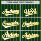 Custom Green Gold Stripe Fashion Raglan Sleeves Authentic Baseball Jersey Limited