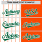 Custom White Orange and Kelly Green Pinstripe Personalized Raglan Sleeves Authentic Baseball Jersey Limited