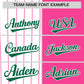 Custom White Pink and Kelly Green Pinstripe Personalized Raglan Sleeves Authentic Baseball Jersey Limited
