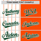 Custom White Orange and Green Pinstripe Personalized Raglan Sleeves Authentic Baseball Jersey Limited