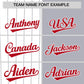 Custom White Gray and Red Pinstripe Personalized Raglan Sleeves Authentic Baseball Jersey Limited