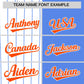 Custom White Powder Blue and Orange Pinstripe Personalized Raglan Sleeves Authentic Baseball Jersey Limited