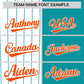 Custom White Aqua and Orange Pinstripe Personalized Raglan Sleeves Authentic Baseball Jersey Limited