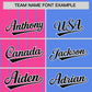 Custom Pink Powder Blue and Black Pinstripe Personalized Raglan Sleeves Authentic Baseball Jersey Limited