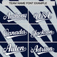 Custom Navy Silver Tiger Stripe Gradient Animal Print Personalized Team Shirt Baseball Jersey Limited