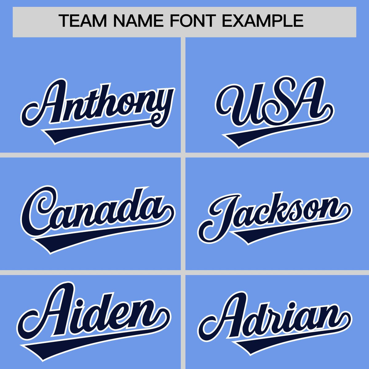 Custom Light Blue Navy Stripe Animals Graffiti Pattern Raglan Sleeves Authentic Baseball Jersey Limited