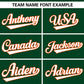 Custom Green White Personalized Gradient Ribbed Design Authentic Baseball Jersey Limited