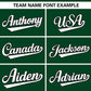 Custom Green White Personalized Gradient Ribbed Design Authentic Baseball Jersey Limited
