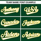 Custom Green White Personalized Gradient Ribbed Design Authentic Baseball Jersey Limited