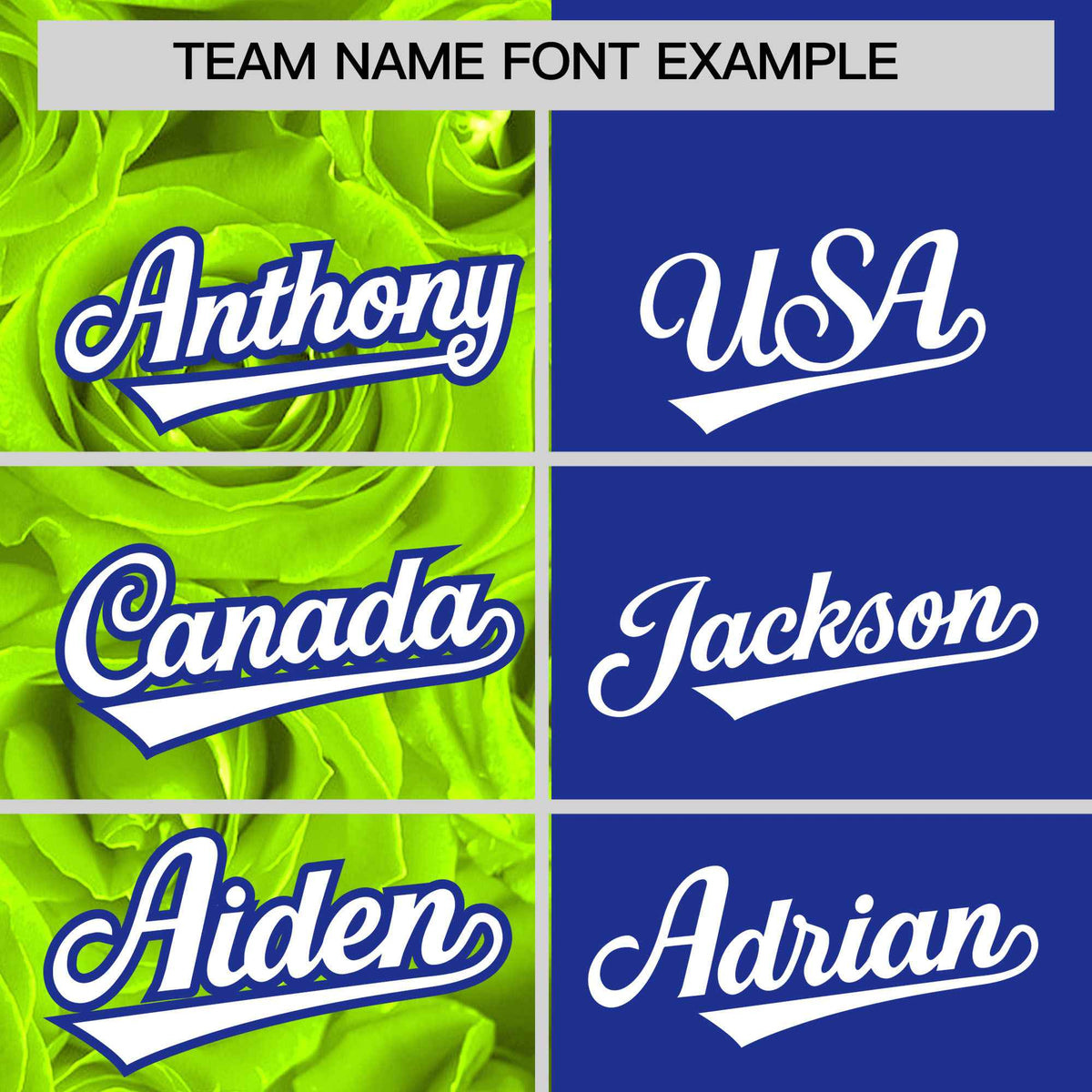 Custom Neon Green Royal Split Rose Print Authentic Baseball Jersey Limited