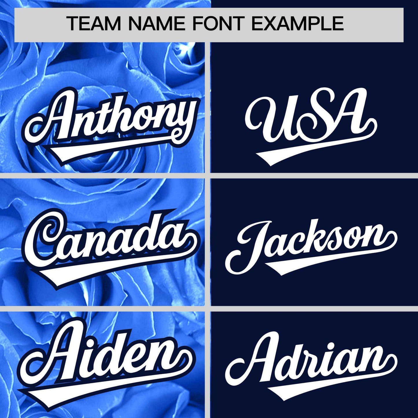 Custom Powder Blue Navy Split Rose Print Authentic Baseball Jersey Limited