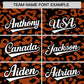 Custom Black Texas Orange Leopard Print Pattern Authentic Baseball Jersey Limited
