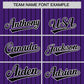 Custom Purple Black Pinstripe Personalized Two-Tone Authentic Baseball Jersey Limited