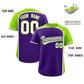 Custom Purple Neon Green Personalized Color Block Authentic Baseball Jersey Limited