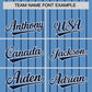 Custom Light Blue Navy Pinstripe Personalized Two-Tone Authentic Baseball Jersey Limited