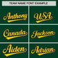 Custom Green Gold Baroque Style Personalized Baseball Jersey Limited