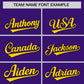 Custom Purple Gold Baroque Style Personalized Baseball Jersey Limited
