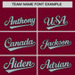 Custom Crimson Silver Baroque Style Personalized Baseball Jersey Limited