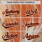 Custom Brown Orange Fluid Feather Graffiti Pattern Authentic Baseball Jersey Limited
