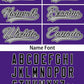 Custom Purple Gray Personalized Colorado City Nightscape Authentic Baseball Jersey Limited