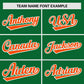 Custom Kelly Green Orange Personalized Raglan Sleeves Authentic Baseball Jersey Limited