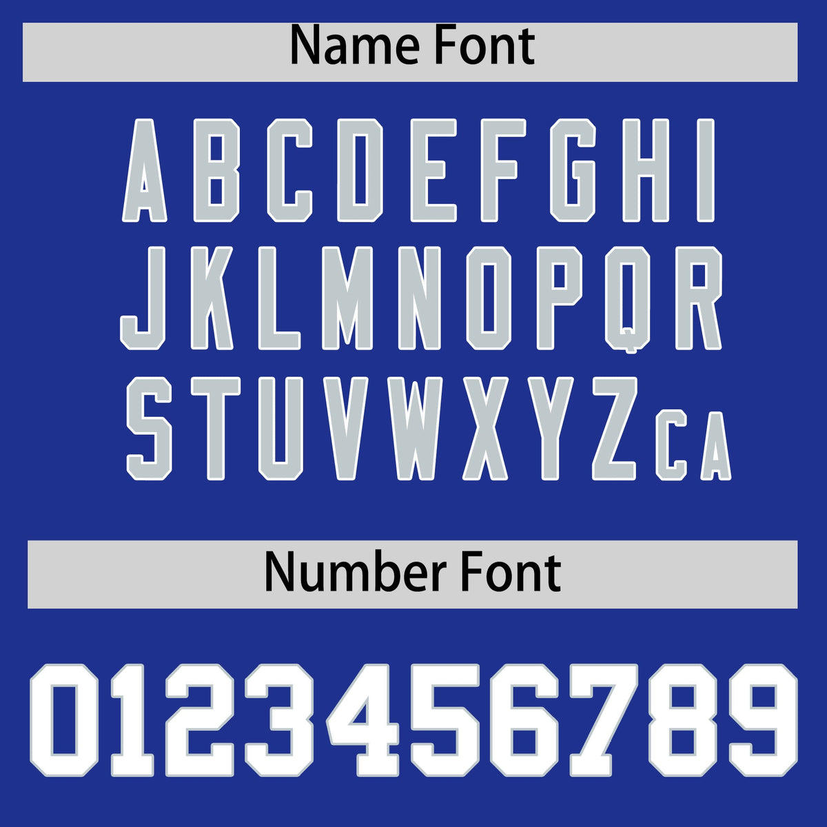 Custom Royal Silver Personalized Leopard Graffiti Pattern Side Design Authentic Baseball Jersey Limited