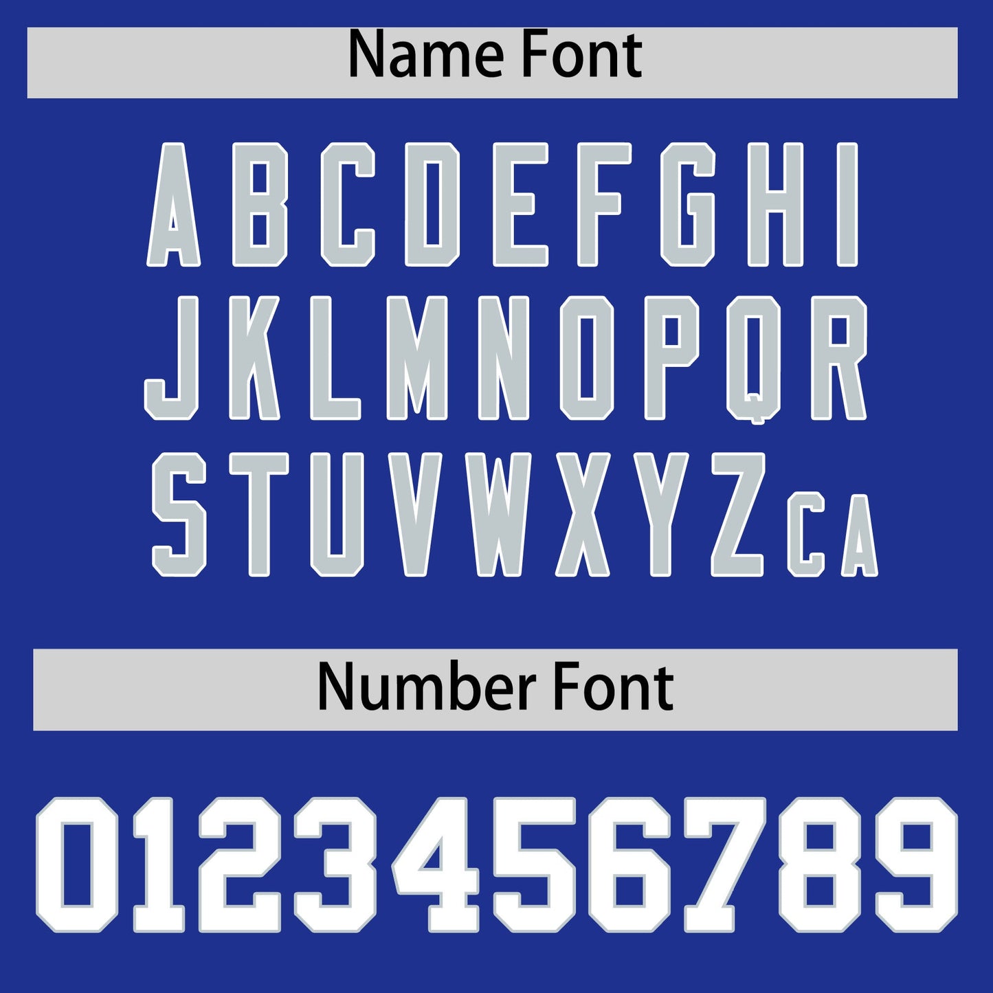 Custom Royal Silver Personalized Leopard Graffiti Pattern Side Design Authentic Baseball Jersey Limited