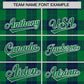 Custom Green Navy Personalized Plaid Design Authentic Baseball Jersey Limited