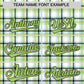 Custom Multi Color Personalized Plaid Design Authentic Baseball Jersey Limited