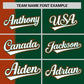 Custom Texas Orange Green Gradient Stripe Fashion Authentic Two-Button Softball Jersey Limited