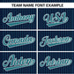 Custom Navy Aqua Stripe Fashion Authentic Two-Button Softball Jersey Limited