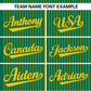 Custom Kelly Green Gold Stripe Fashion Authentic Two-Button Softball Jersey Limited