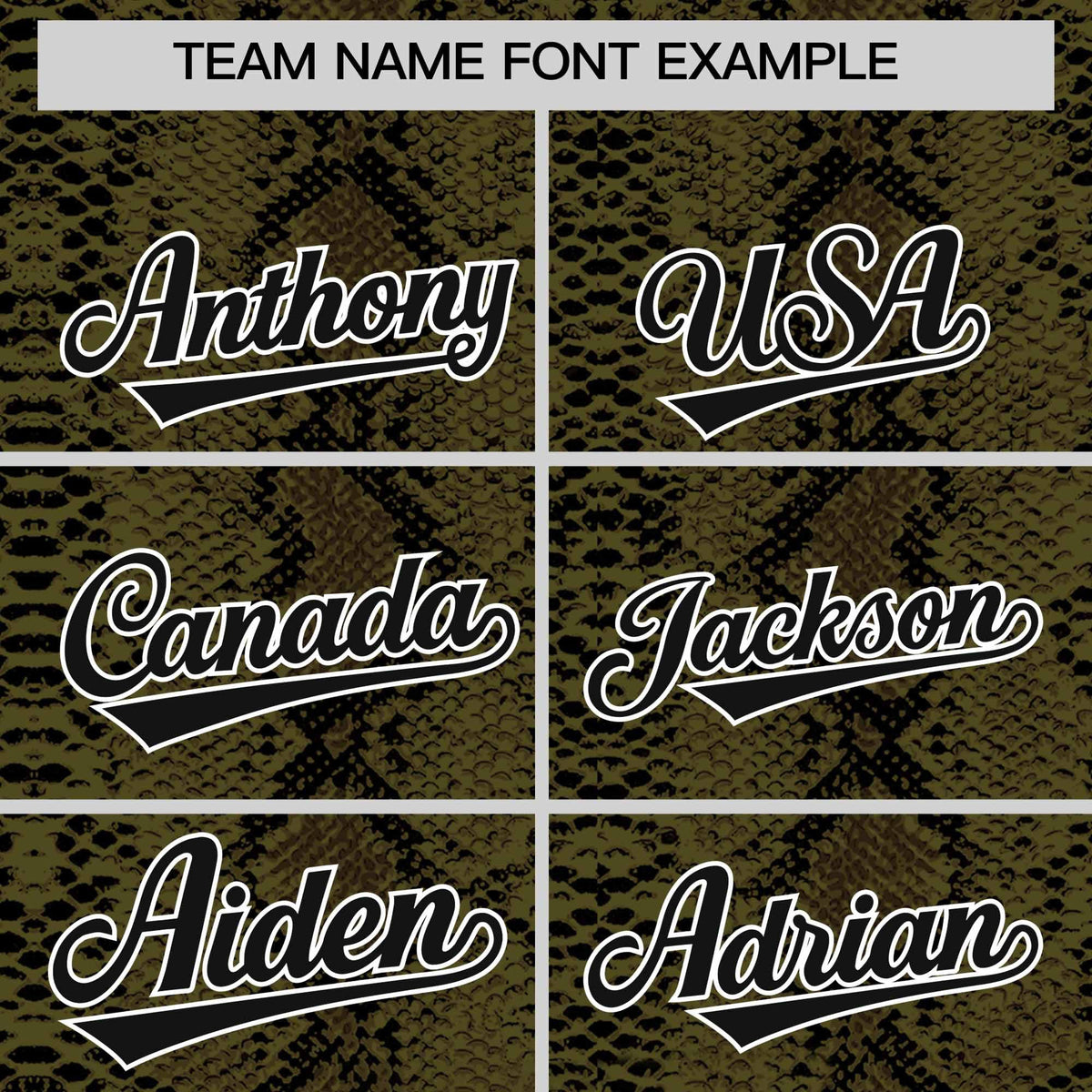 Custom Black Snakeskin Pattern Authentic Sleeveless Baseball Jersey Limited