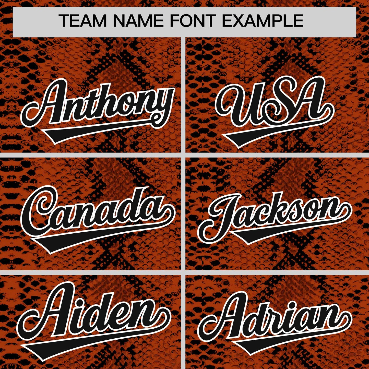 Custom Black Snakeskin Pattern Authentic Sleeveless Baseball Jersey Limited