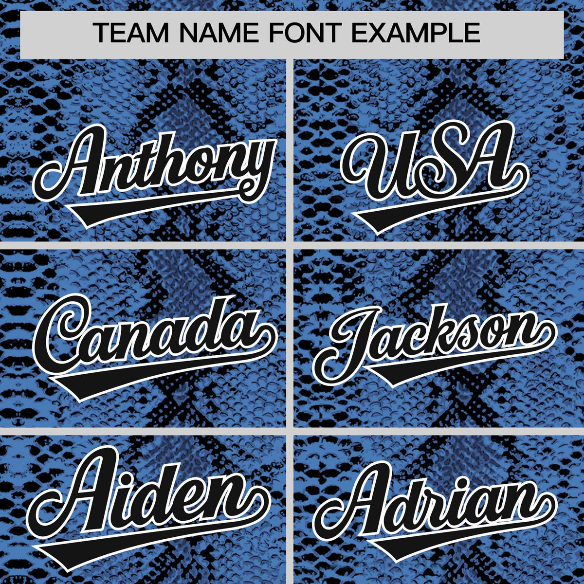 Custom Black Snakeskin Pattern Authentic Sleeveless Baseball Jersey Limited