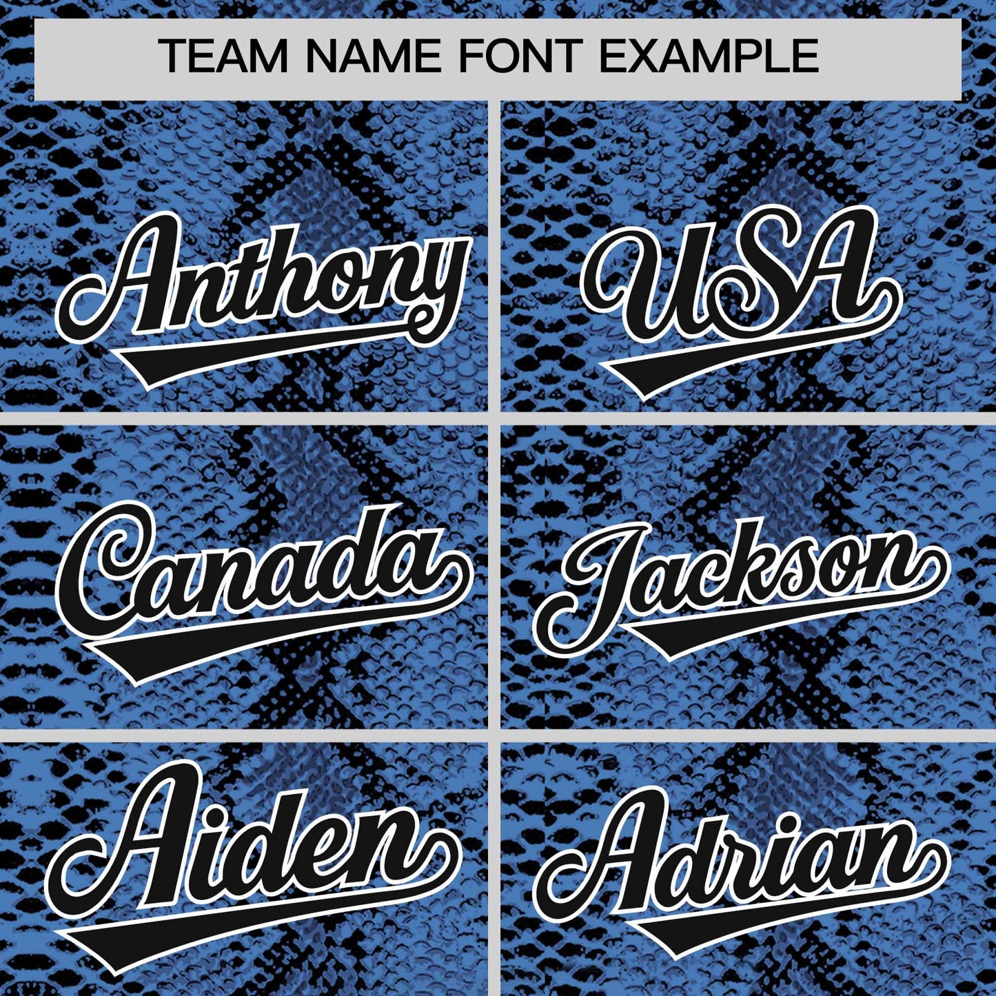 Custom Black Snakeskin Pattern Authentic Sleeveless Baseball Jersey Limited