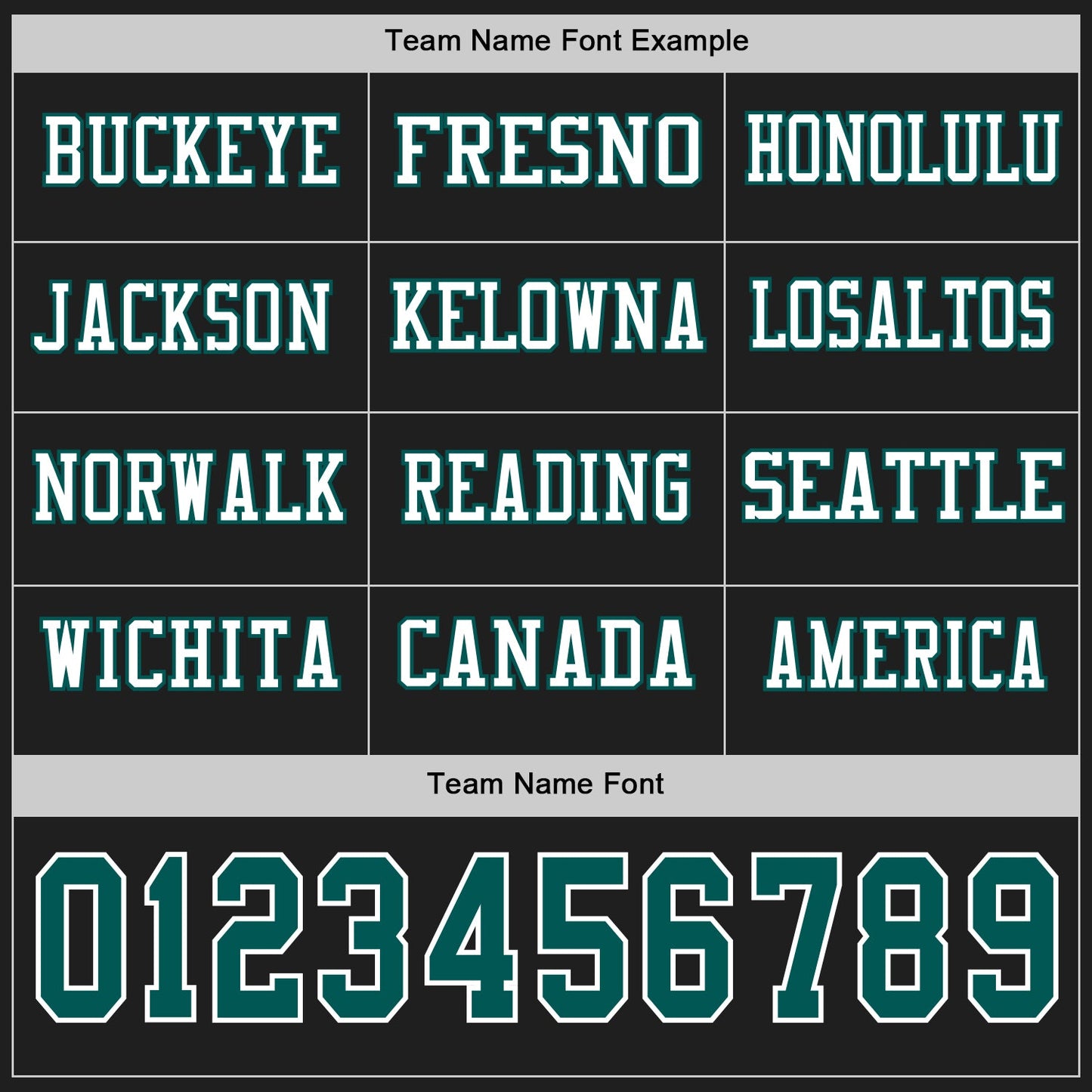 Custom Black Midnight Green-White Long Sleeve Authentic Football Jersey Limited