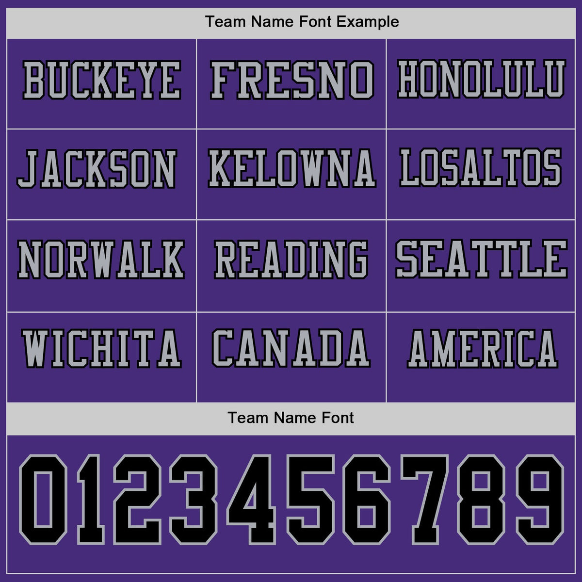 Custom Purple Black-Gray Long Sleeve Authentic Football Jersey Limited