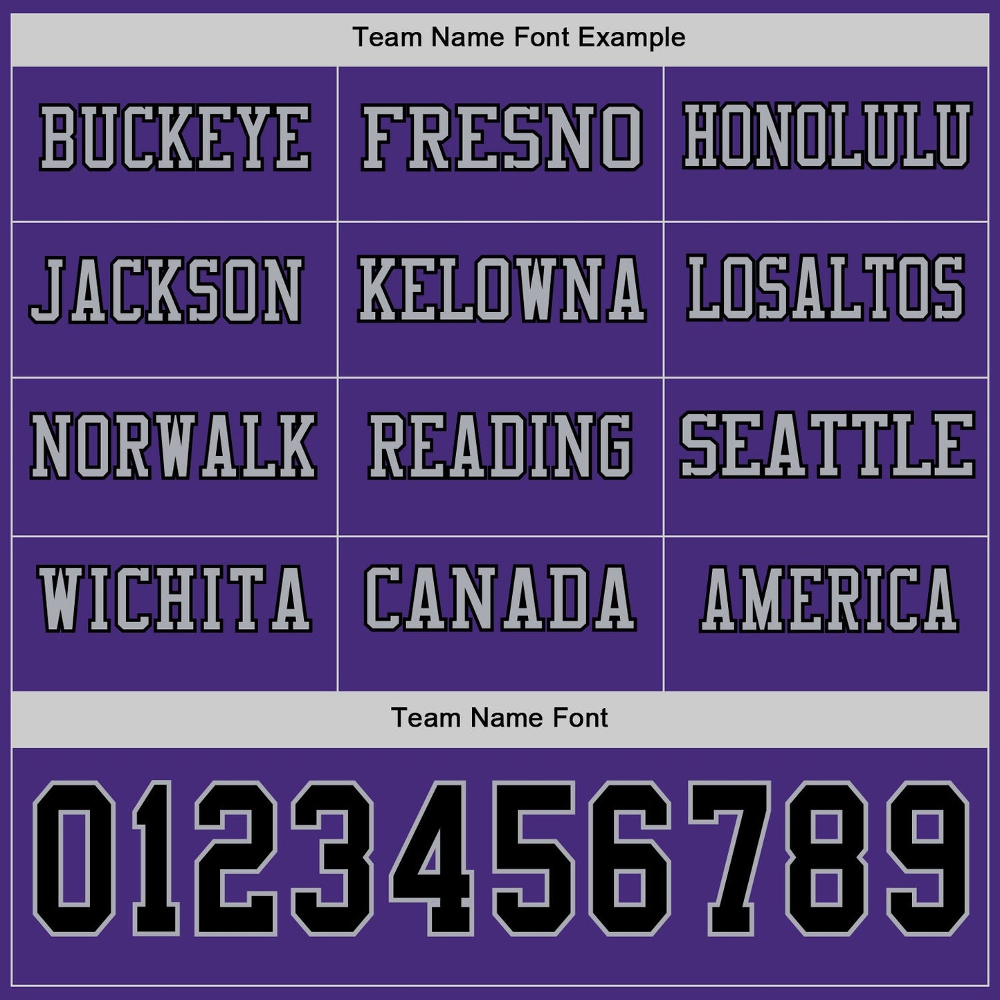 Custom Purple Black-Gray Long Sleeve Authentic Football Jersey Limited