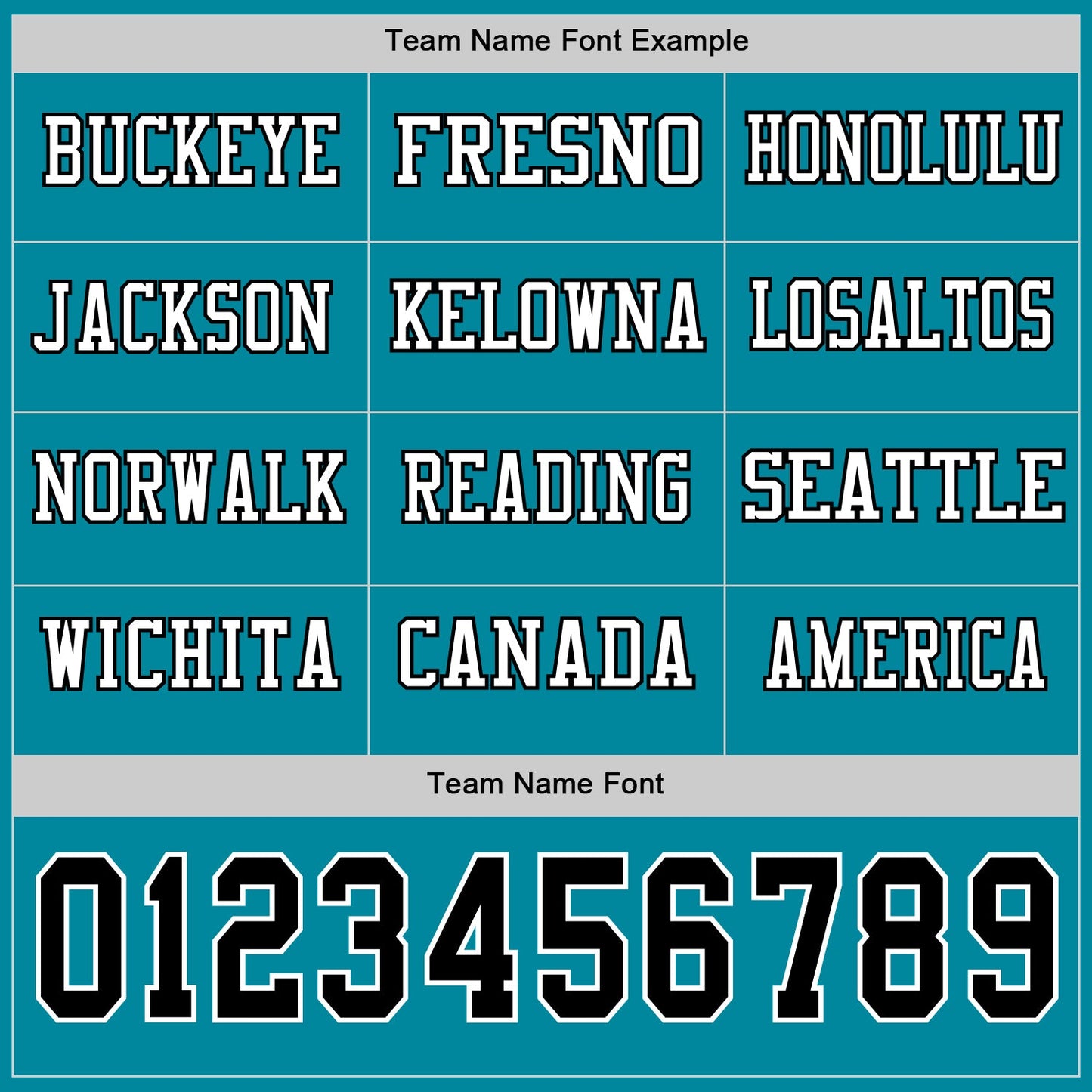 Custom Teal Black-White Long Sleeve Authentic Football Jersey Limited