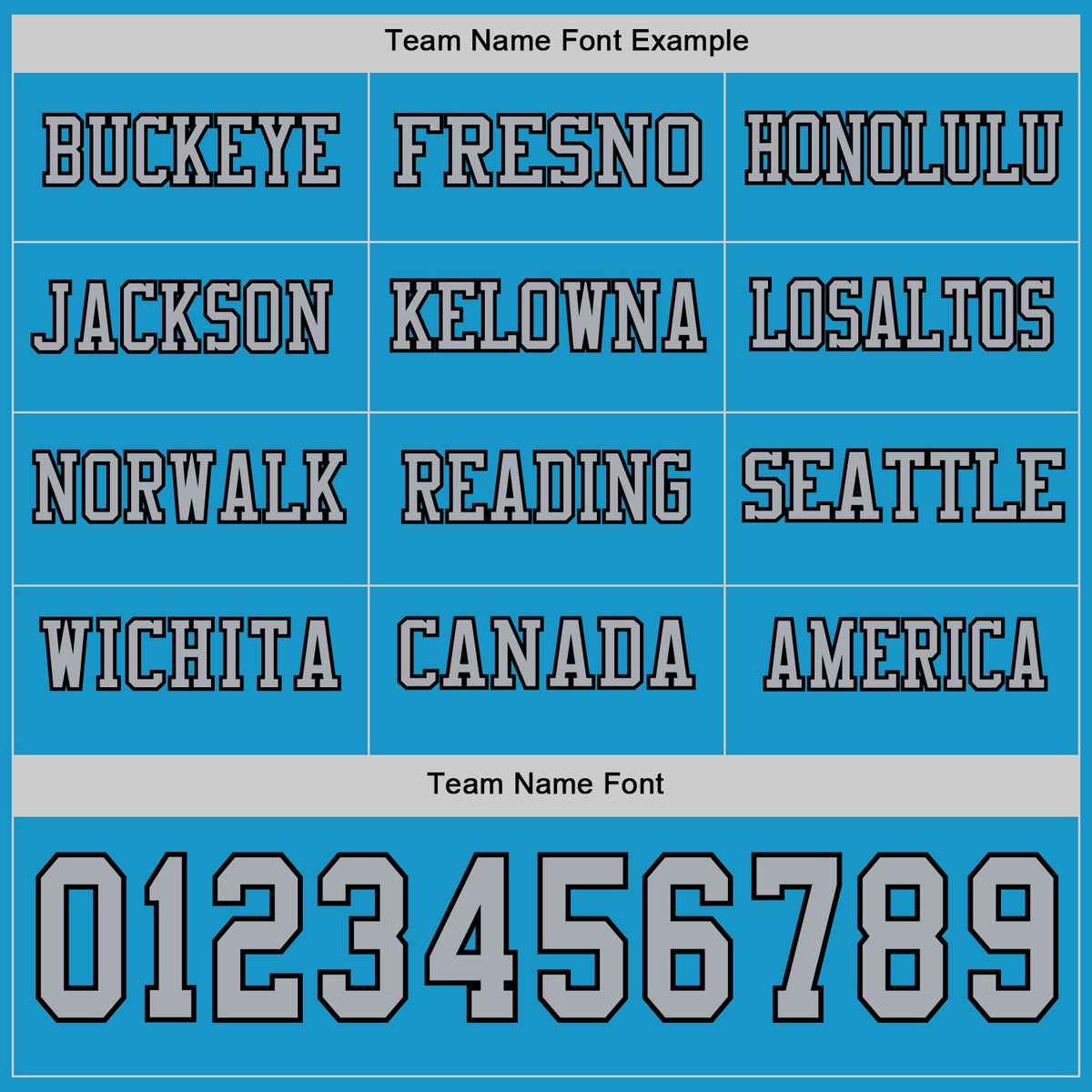 Custom Panther Blue Gray-Black Long Sleeve Authentic Football Jersey Limited