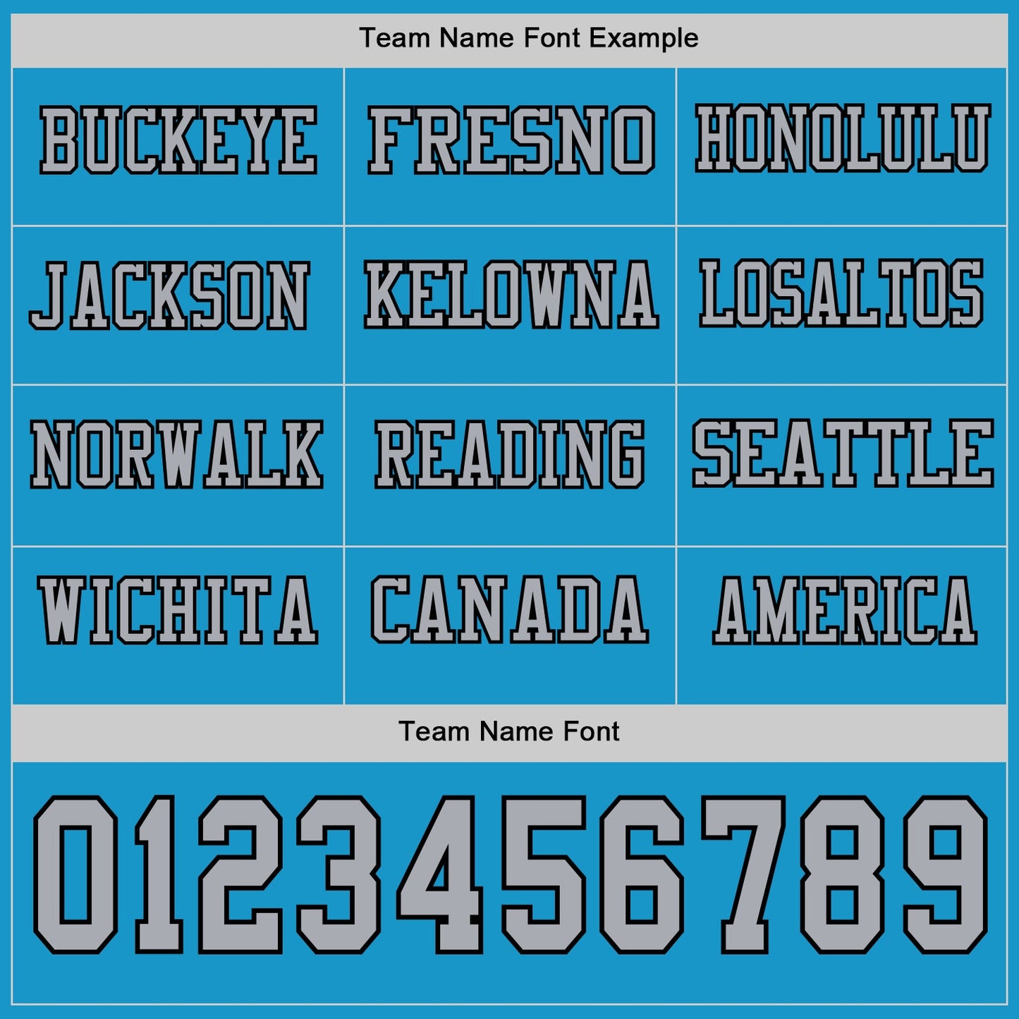 Custom Panther Blue Gray-Black Long Sleeve Authentic Football Jersey Limited